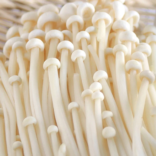 White Enoki mushrooms laying in a basket, with very long, thin stems and tiny round caps