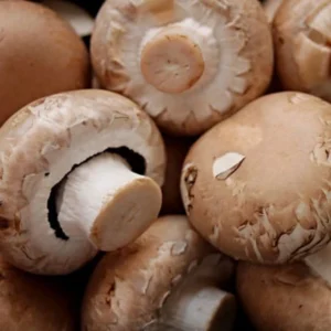 Portobello Mushrooms