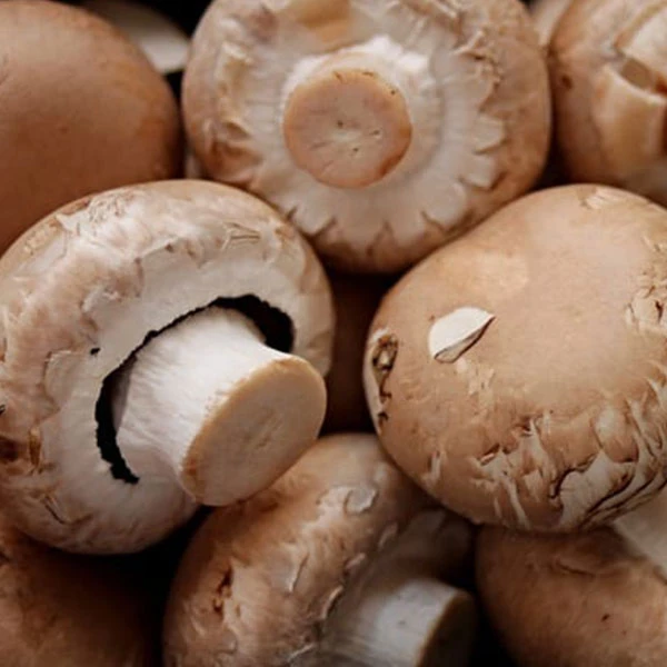 Portobello Mushrooms