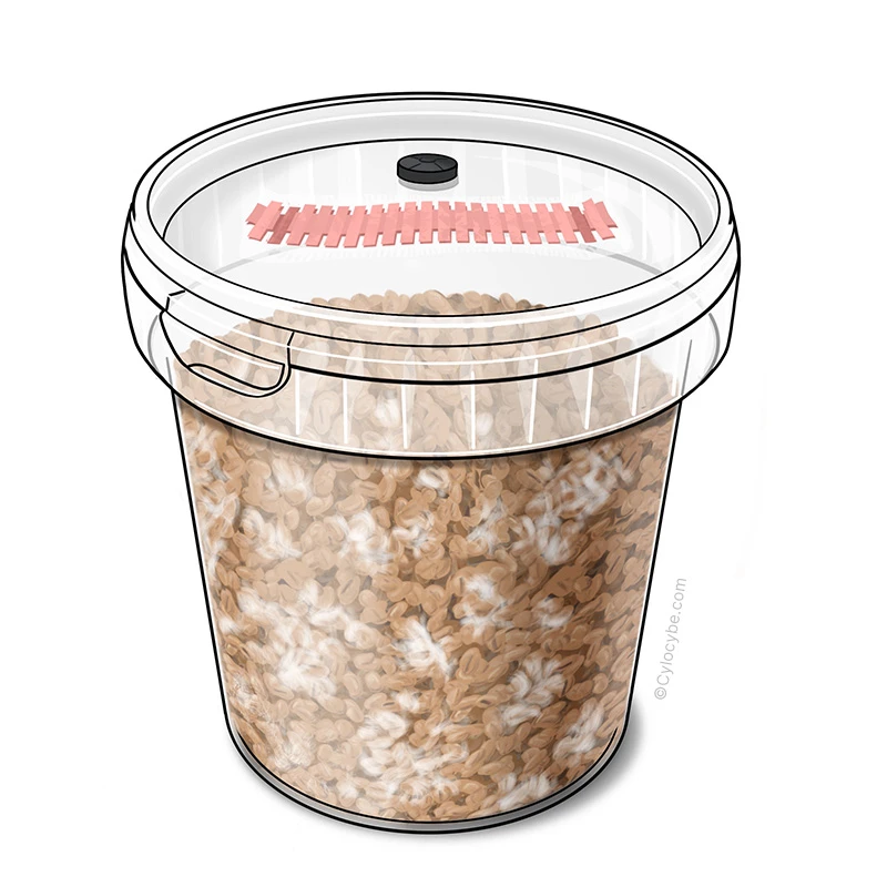 Wholegrain SpawnTub™