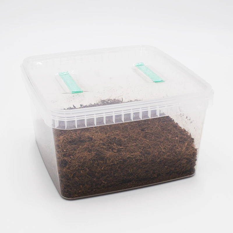 Show: A MonoBox substrate tub: clear tub of dark coir with two green tabs on the lid