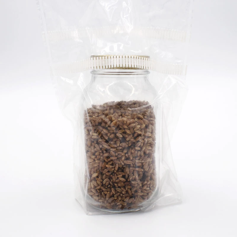 Show: rye grain jar in incubag