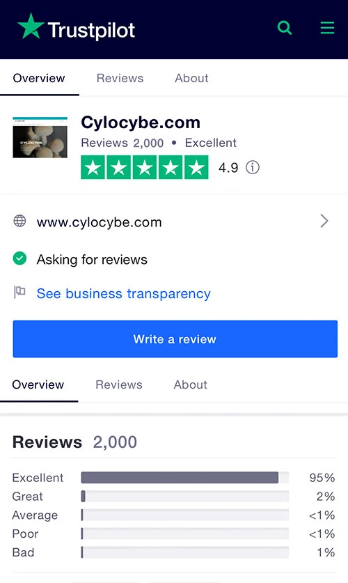 trustpilot review page