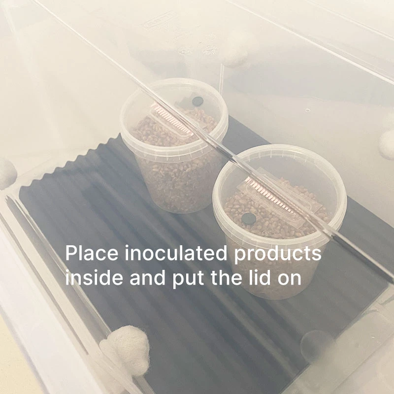 SpawnTubs placed inside our incubator of the CyLab