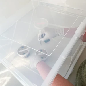 Inoculating a small tub through the opening of the CyLab still air box