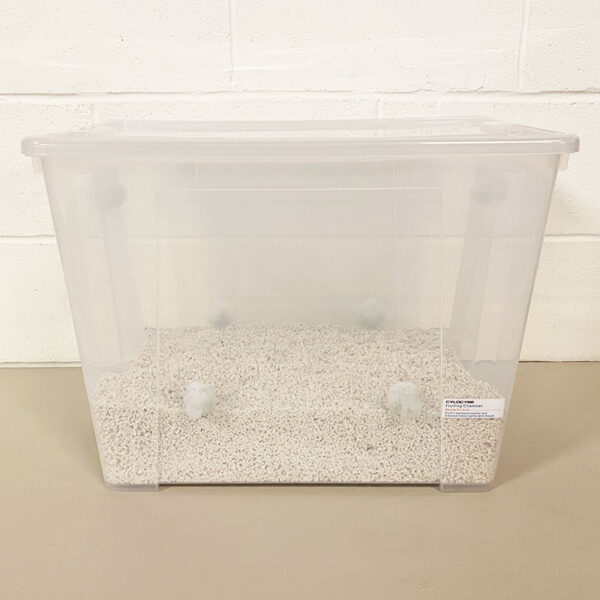 fruiting chamber with polyfil and filled with perlite