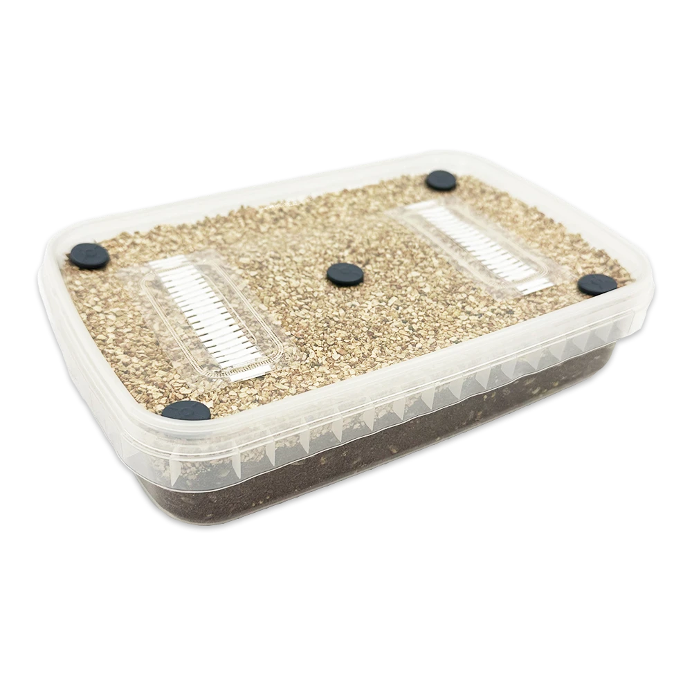 MycDrop Grow Kit