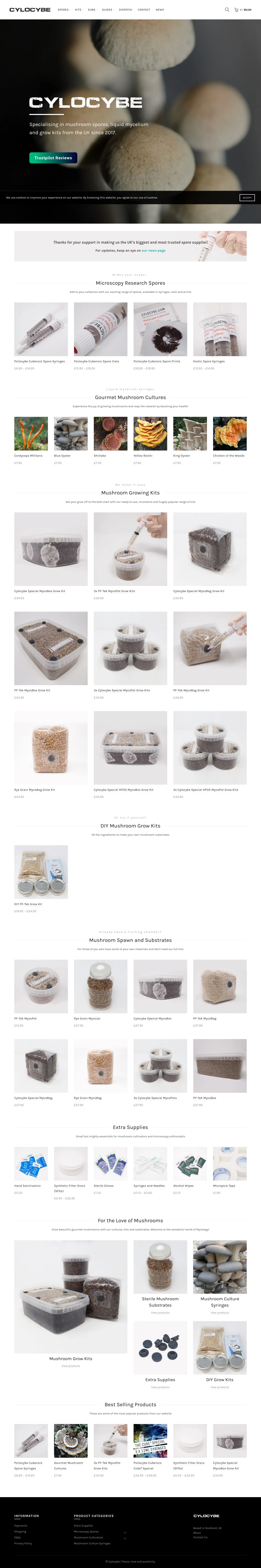 Cylocybe homepage in January 2020