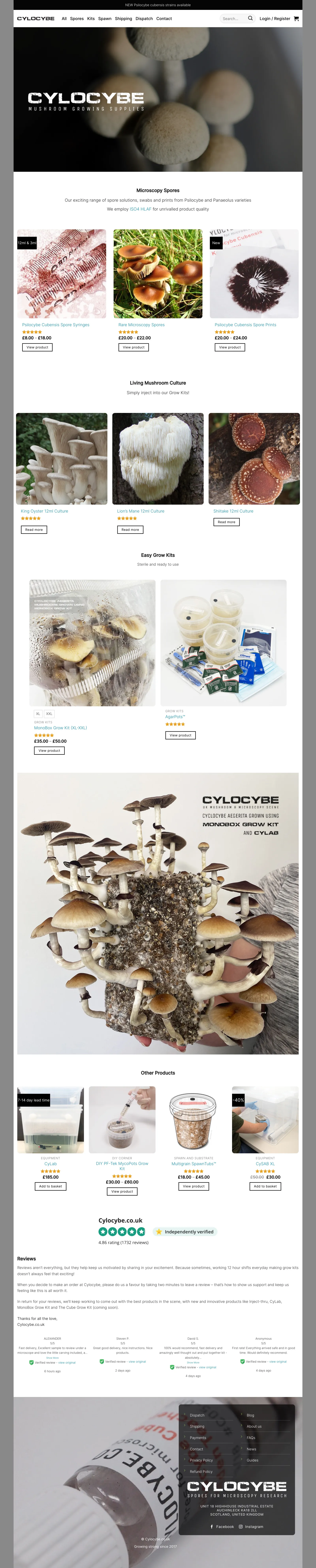 Cylocybe homepage in July 2022