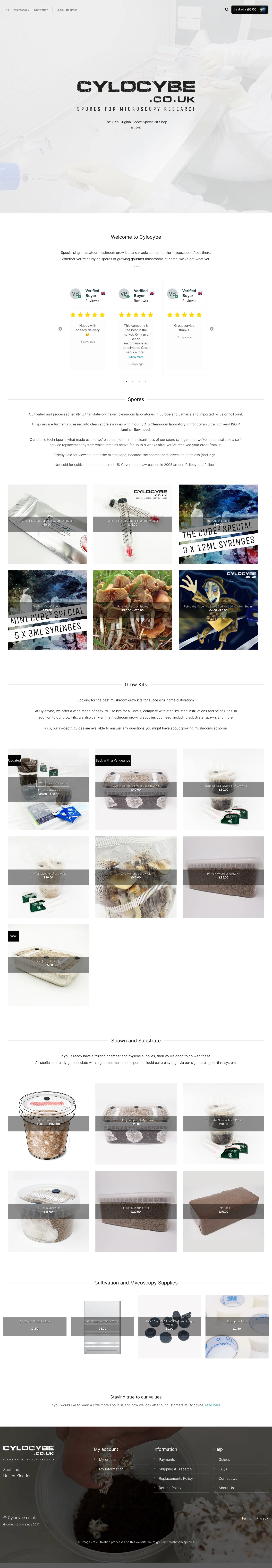 Cylocybe homepage in October 2023