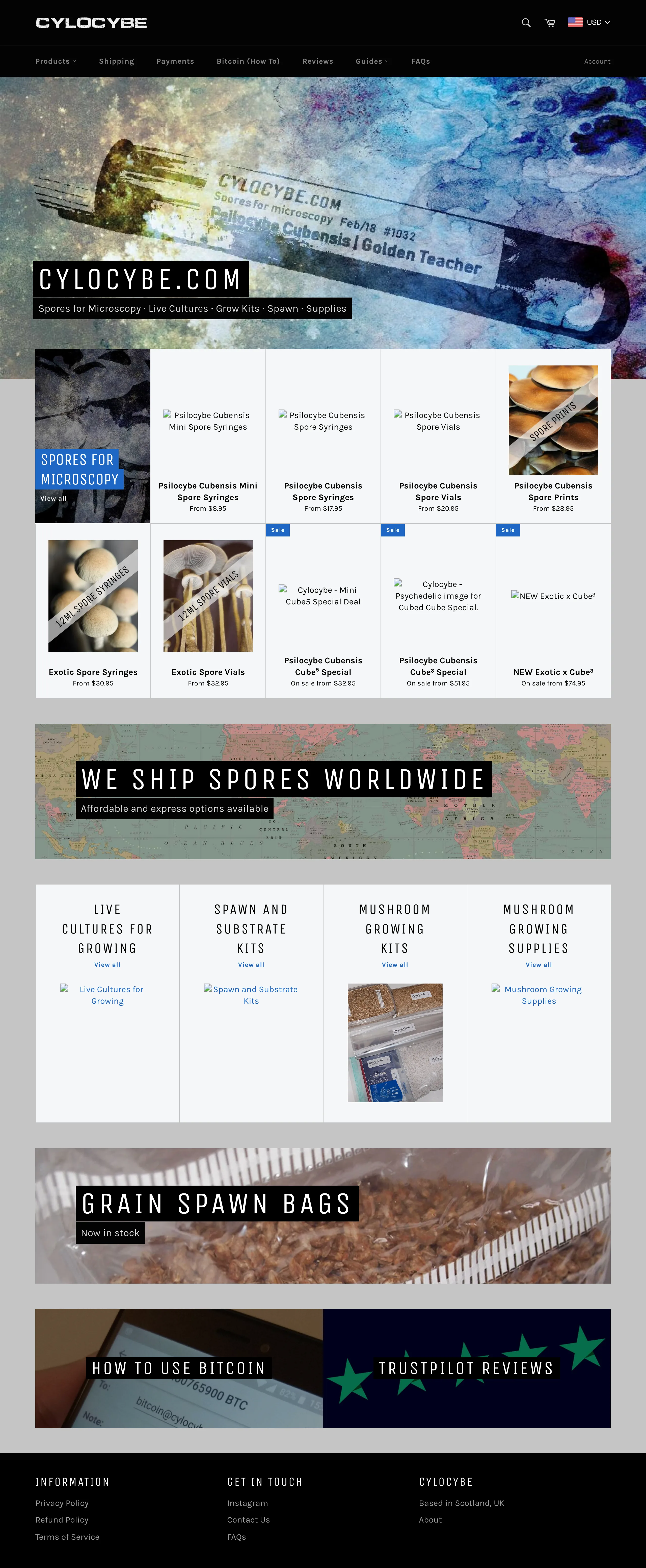 The Cylocybe homepage as it looked in 2018