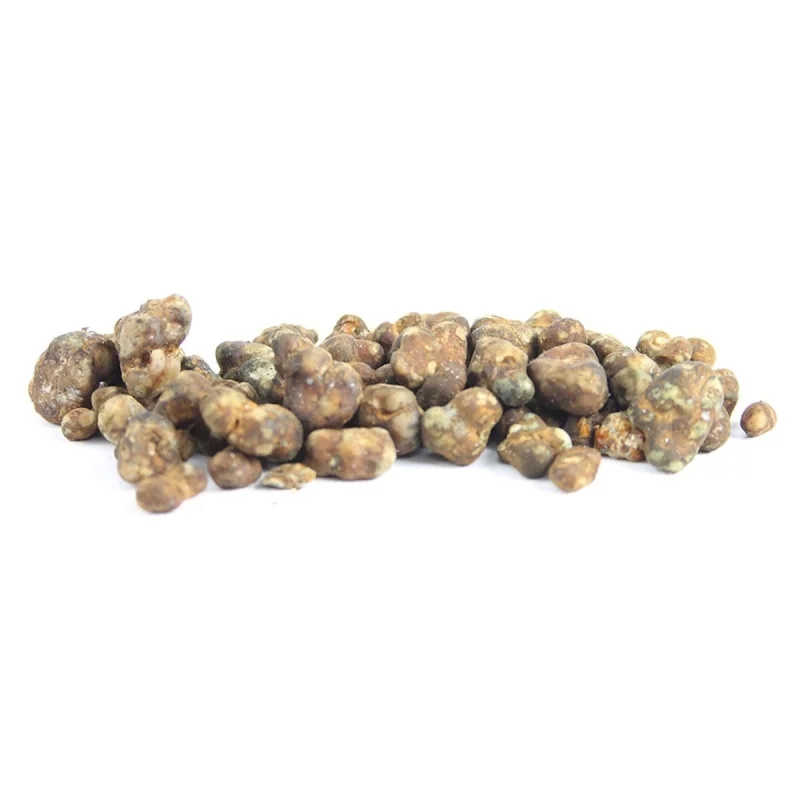 Dried sclerotia