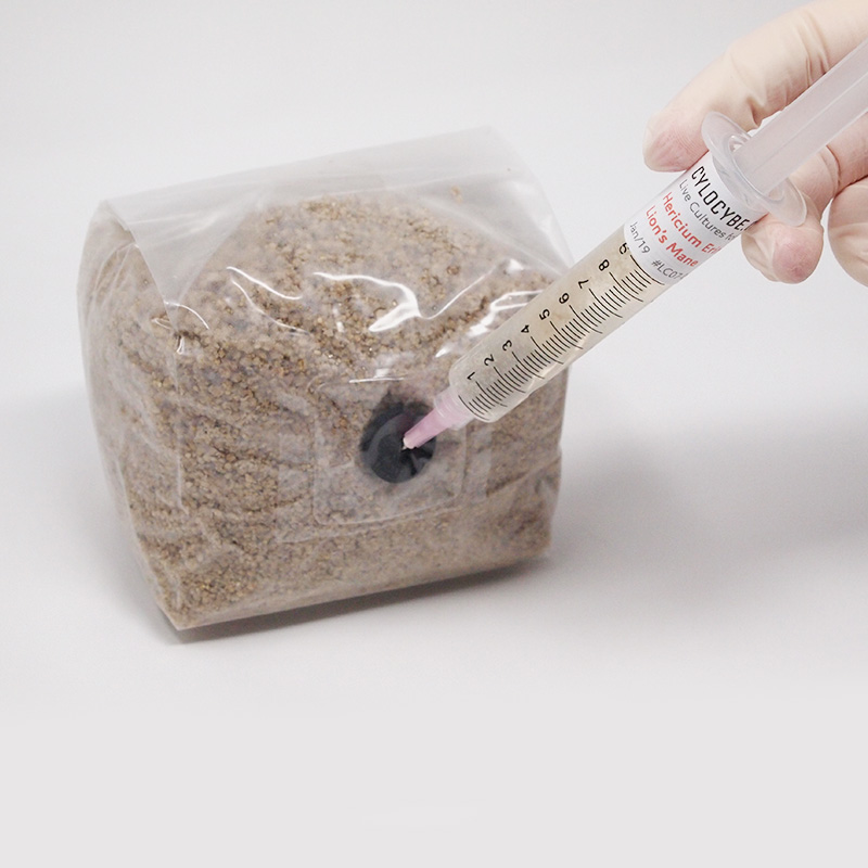 Tek MycoBag Grow Kit