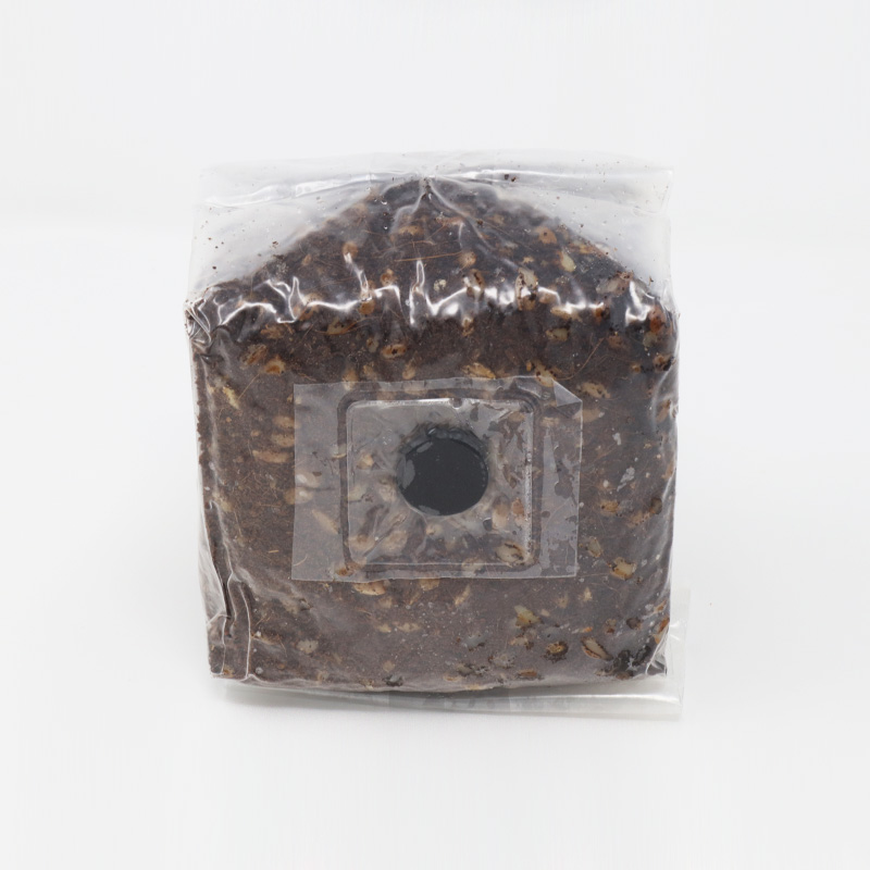 Show: MycoBag™ Grow Kit