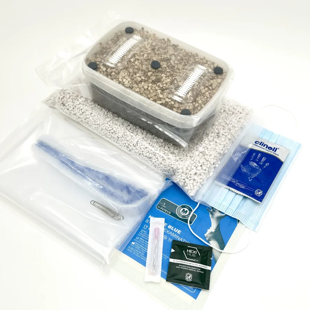 Show: Everything included in the Grow Kit version of the XL Cylocybe Special MycBox, laid out together: the sealed grow tub with its filter strips and injection ports, a bag of perlite, a liner bag, nitrile gloves, a face mask, alcohol and chlorhexidine wipes, and a sterile syringe