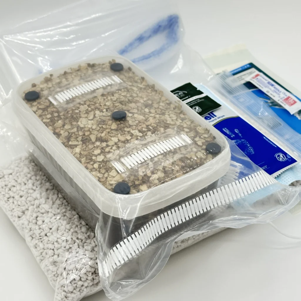 A close look at the top of the sealed grow tub in the XL Cylocybe Special MycBox, its bed of coarse vermiculite behind two white filter strips and five black rubber injection ports, resting on the bag of perlite with the gloves, mask and wipes alongside