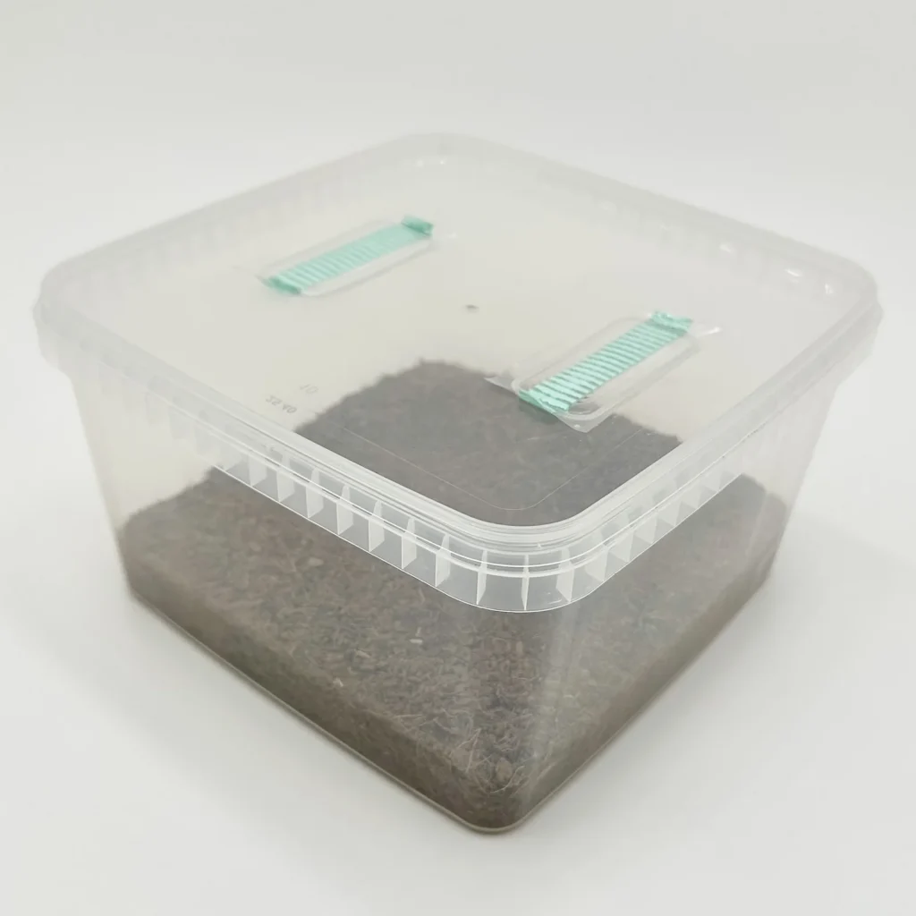 A clear square plastic tub filled with dark brown coco coir, with two green filter strips set into its clip-on lid