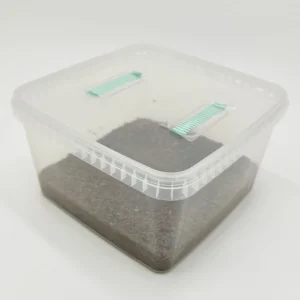 A clear square plastic tub filled with dark brown coco coir, with two green filter strips set into its clip-on lid