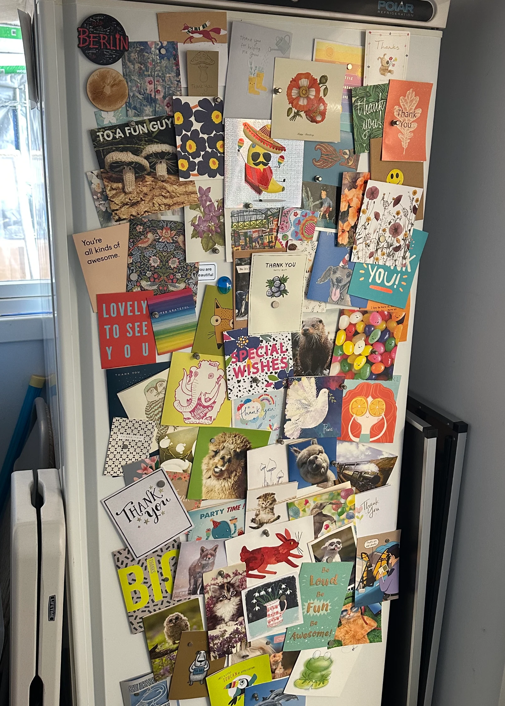 Thank you cards sent in by Cylocybe customers, covering a fridge door
