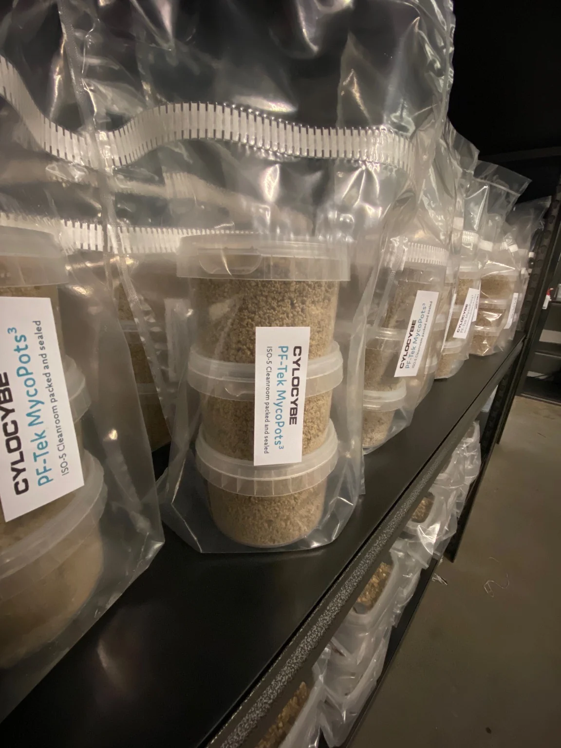 Cylocybe grow kits packed and labelled on the shelf