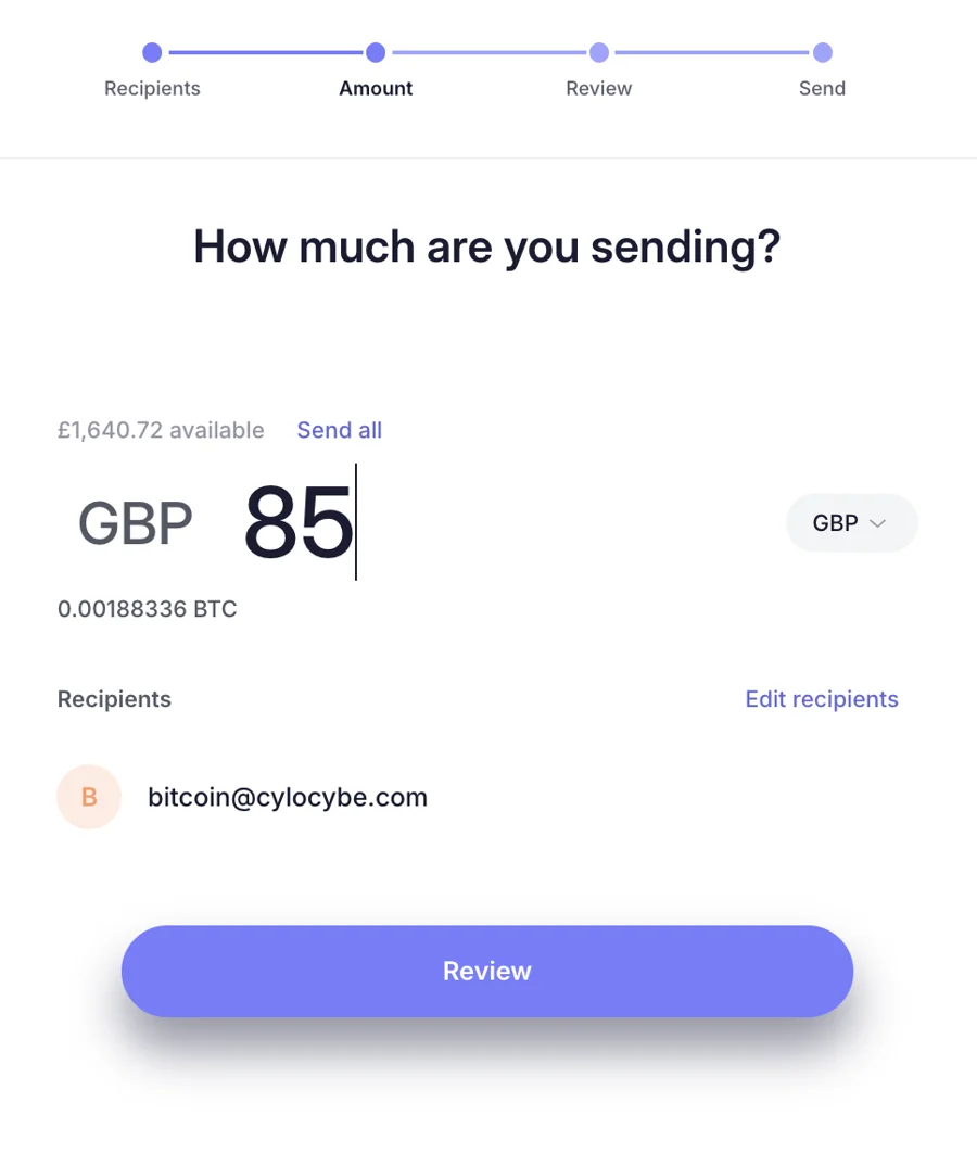 Proton Wallet amount screen