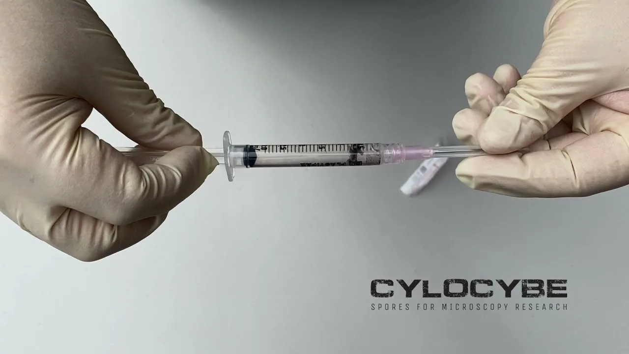 Still from the Cylocybe spore syringe video